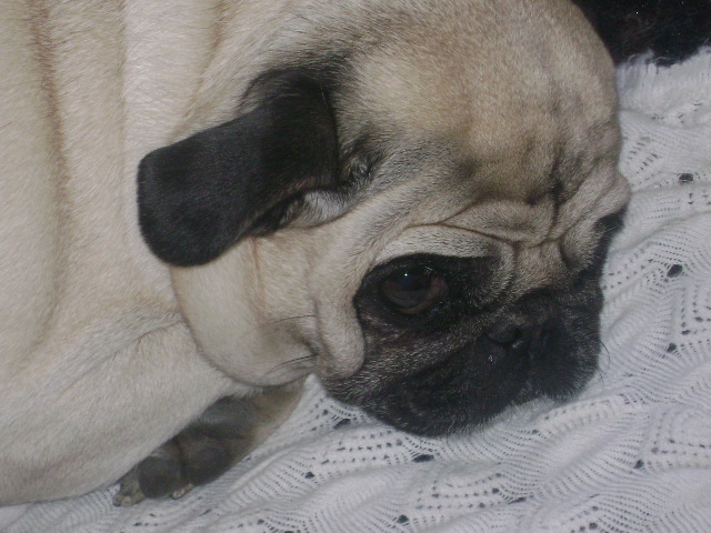 DSC00417.jpg